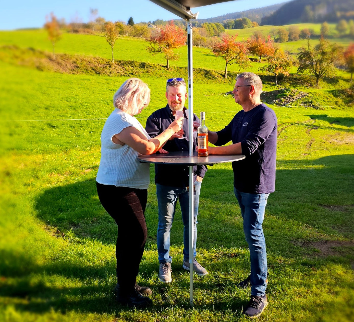 Markisen-Butler - Wäschespinne & Stehtisch